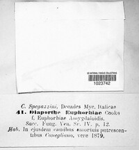 Image Associated With the Occurrence